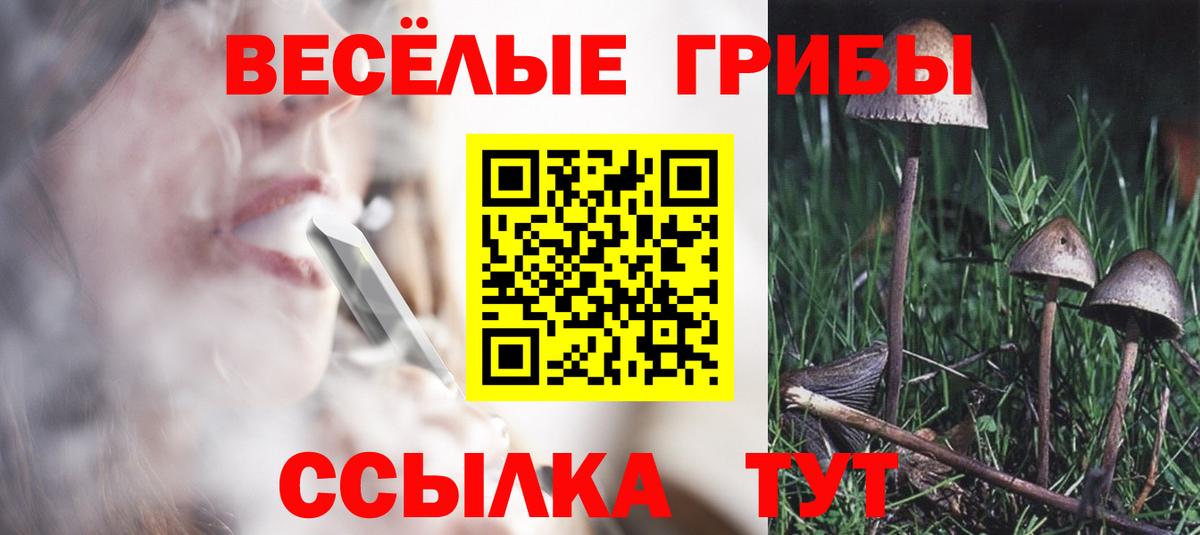 Вышний Волочёк  Галлюциногенные грибы ЛСД  Псилоцибиновые грибы Psilocybine cubensis  купить наркотики цена  Вход с VPN 